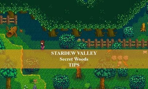 Тайный лес stardew