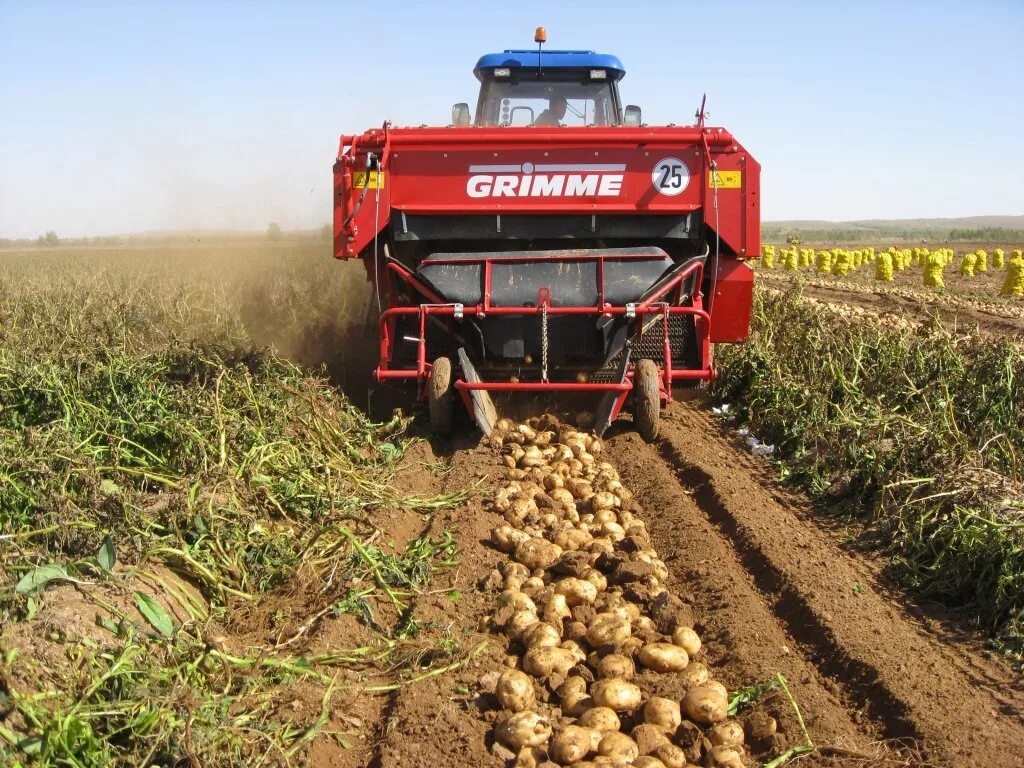 сбор урожая. кукуруза уборка сток. капустоуборочный комбайн asa-lift. машины для уборки зерна. уборка пшеницы комбайном.