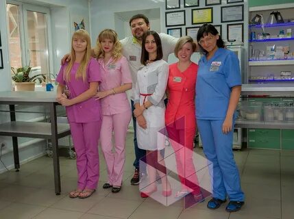 Ветклиника на профсоюзной ростов