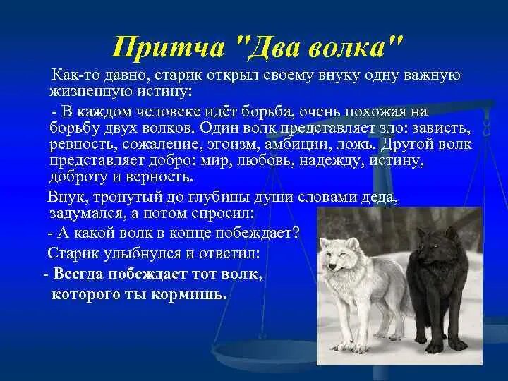 Притча о двух волках. Притча о волках. Притча про двух Волков. Притча о волках о добре и зле. Смысл притчи два меча