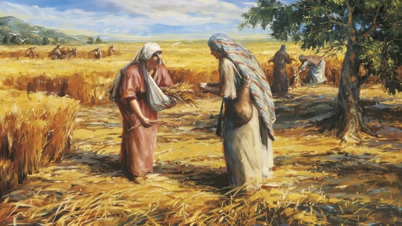 руфь библия. праведная руфь. гохберг руфь дармаевна. картинки мать христа до замужества. руфь на поле.