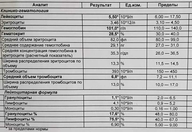 Эритроциты 3 3 у мужчин. Норма эритроцитов, лейкоцитов, гемоглобина. Исследование уровня эритроцитов в крови норма. Показатели общего анализа крови у человека норма. Норма тромбоциты лейкоциты гемоглобин.