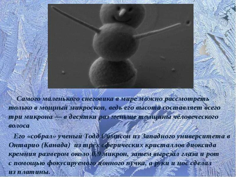 Самый маленький снеговик по порядку. Самый маленький снеговик по порядку. Самый маленький снеговик. Самый маленький снеговик в мире. Самый маленький снеговик.