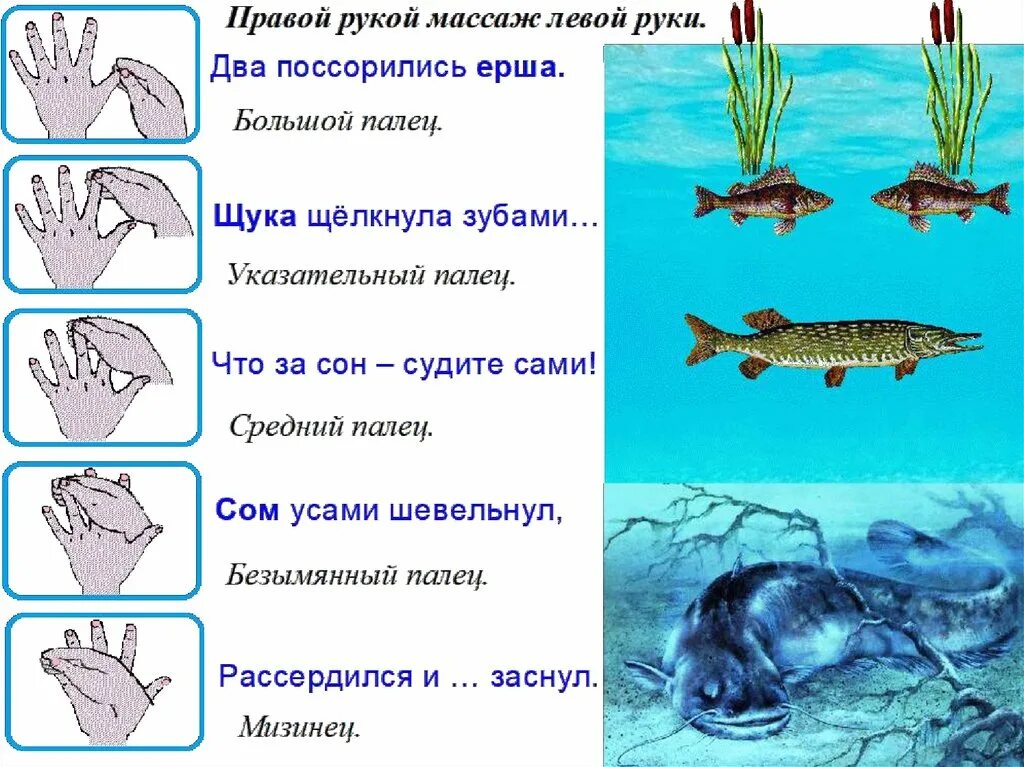 План рыбы старшая группа. Пальчиковая игра про пресноводных рыб. Тема рыбы пальчиковая. Пальчиковая гимнастика рыбы. Пальчиковая гимнастика по теме рыбки.