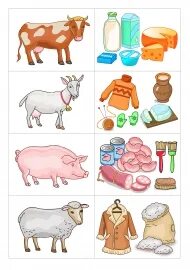Домашние животные дающие человеку продукты питания