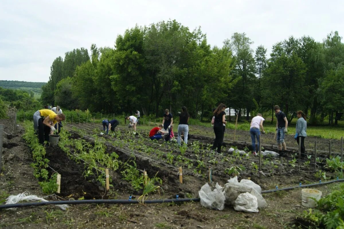 Корольков сад саратов купить. Агротуристический парк Корольков сад Саратов. Агроцентр Корольков сад. Агропарк «Корольков сад».