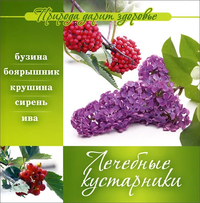 Куст сирени иллюстрации к рассказу куприна. Определитель деревьев и кустарников. Кустарники для детей. Книга кустарники. Книги кустов.