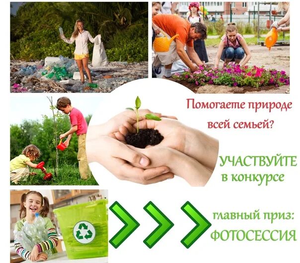 Mavrida family eco. Эко семья конкурс. Эко семья конкурс фотографий. Фото на конкурс эко семья. Семейные экологические проекты ЭКОСЕМЬЯ.