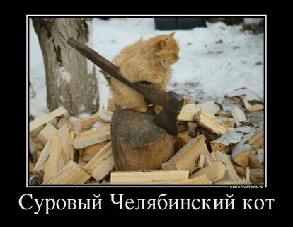 Жизнь трудяги душу напрягает