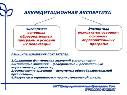 Экспертиза образовательных систем