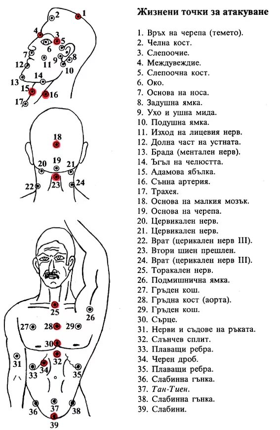 Больные места у человека. Болевые точки на туловище. Анатомия человека точки выключения. Жизненно важные точки на теле человека.