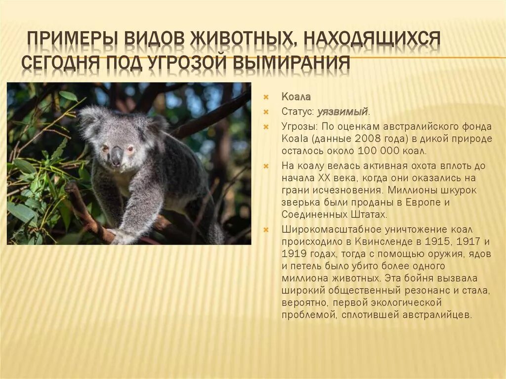 Находящиеся под угрозой исчезновения. Животные и растения которые находятся на грани вымирания. Исчезновение редких видов животных. Красная книга вымирающие виды животных. Жывотныекра сной книги.
