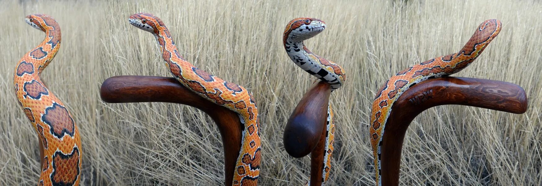 Snake walk