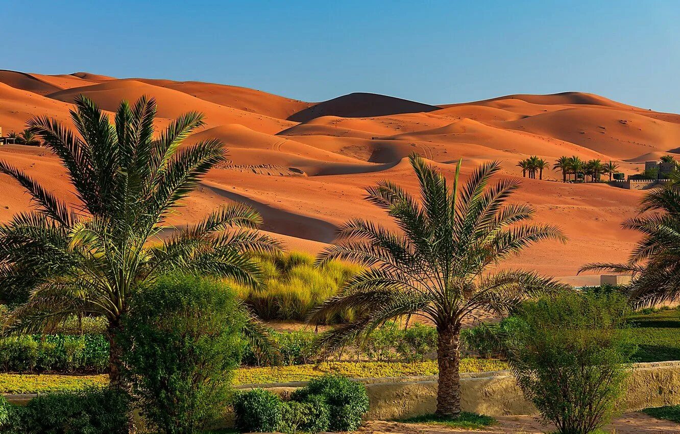 Оазис Аравийской пустыни. Оазисы в Аравийской пустыне. Пустыня Абу Даби. Абу-Даби (эмират) пустыня.