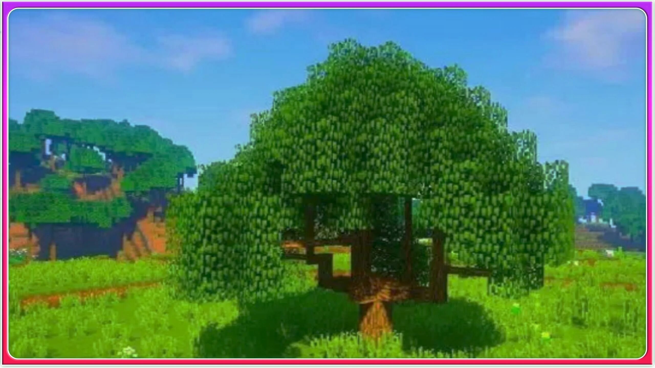 Пе мод деревья. Dynamic trees mod 1.16.5. minecraft реалистичные деревья. реалистичный деревья для майнкрафта. мод на реалистичные деревья.