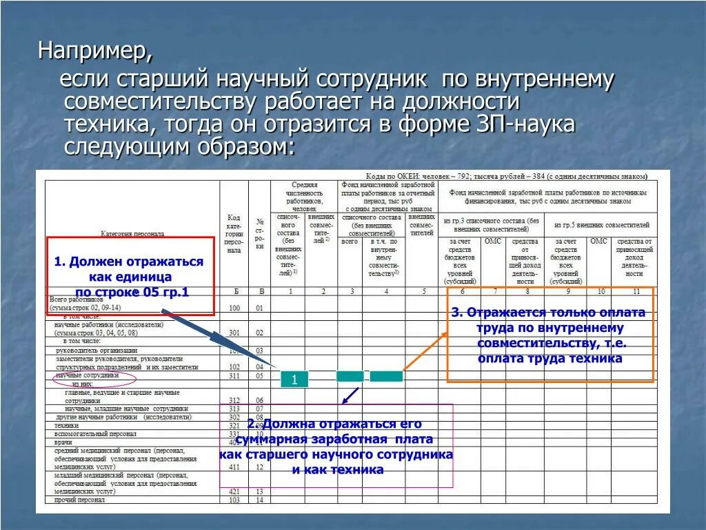 Форма no зп образование. Зп-наука форма. исн в заработной плате. статистическое наблюдение работников магнит. зп-наука пример заполнения графы 6.