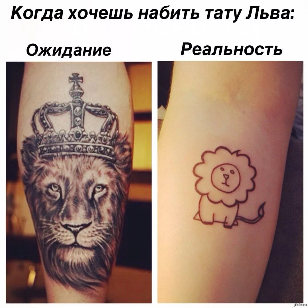 Какую набить первую тату. Татуировки ожидание и реальность. тату львица. какую татуировку можно набить.