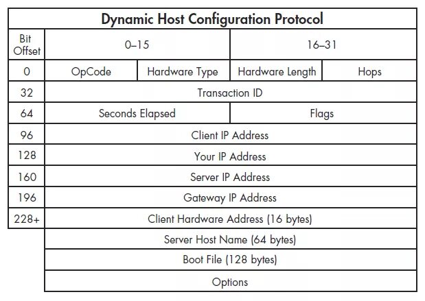 Protocol host. Структура DHCP пакета. Формат DHCP пакета. DHCP: протокол динамического конфигурирования узлов. DHCP сообщения.