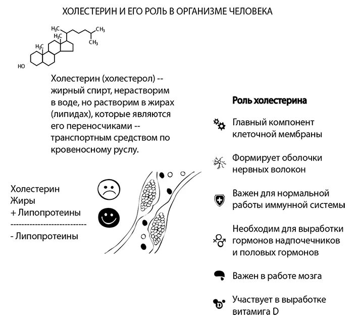 Биологическая роль холестерина. Функции холестерола биохимия. Структура и функции холестерина. Функции холестерина биохимия. Основные функции холестерина в организме.