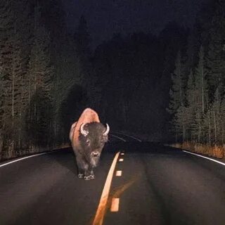 Видишь бур