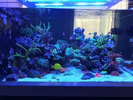 Aquari