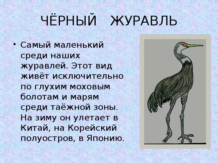 Журавль символ чего в россии. Журавль символ. Черный журавль сообщение.