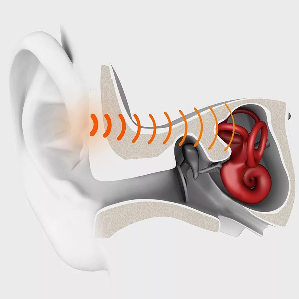 Наушники для внутреннего уха. Внутреннее ухо. Костное проведение звука. Наушники на внутреннее ухо. Как наушники передают звук