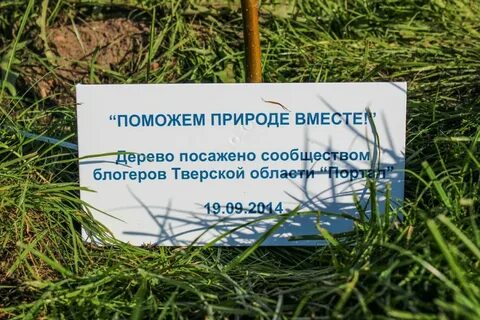 Посадки предложение
