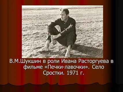 Шукшин любовь к родине