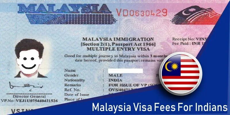 Малайзия виза 2024. Malaysia visa. Рабочая виза Малайзия. Рабочая виза Малайзия картинка. Виза Малайзия требования к фото.