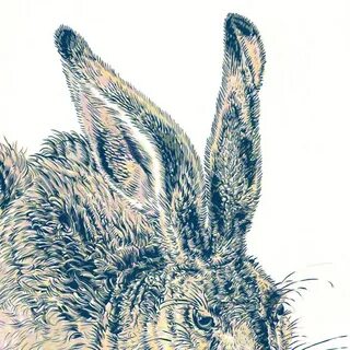 Rabbit original