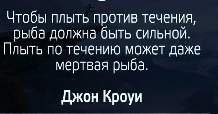 Цитаты про мертвых. Чтобы плыть против течения рыба должна быть сильной. живая рыба плывет против течения дохлая по течению. даже мертвая рыба.может плыть по течению. плыть против течения цитаты.