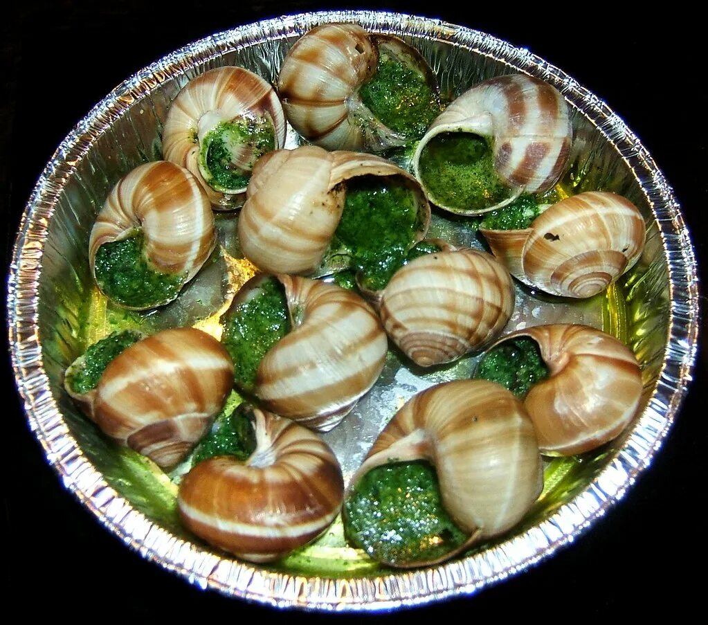 Улитки Эскарго. Улитка Виноградная escargots. Эскарго улитки Греция. Улитки Эскарго де Бургонь. Улитки готовые