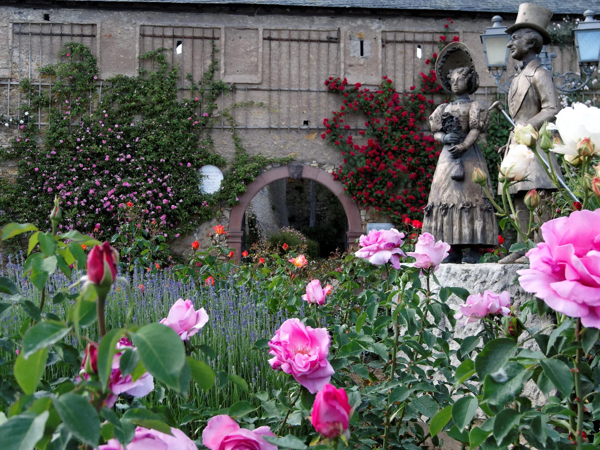 Сады и люди ижевск. Gardens Eltville Castle. Сады Германии. Сады роз в Германии. Старый сад Германия.