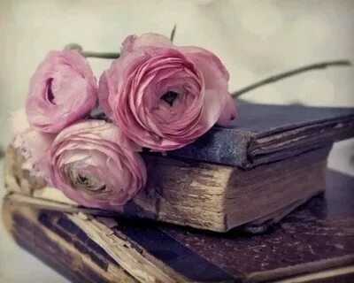 Книжные цветы
