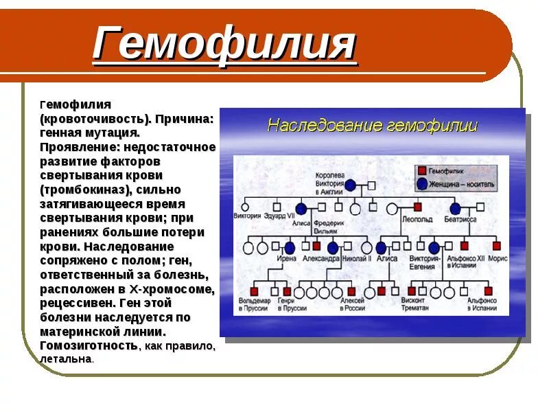 Генные болезни гемофилия. Гемофилия генная мутация. Гемофилия причины мутации.