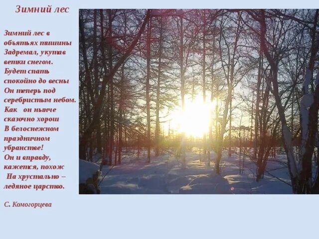 Зимний лес в объятьях тишины. Цитаты о лесах. Лес тишина стих. Бунин таинственно шумит лесная тишина. Лес тишина юмор.