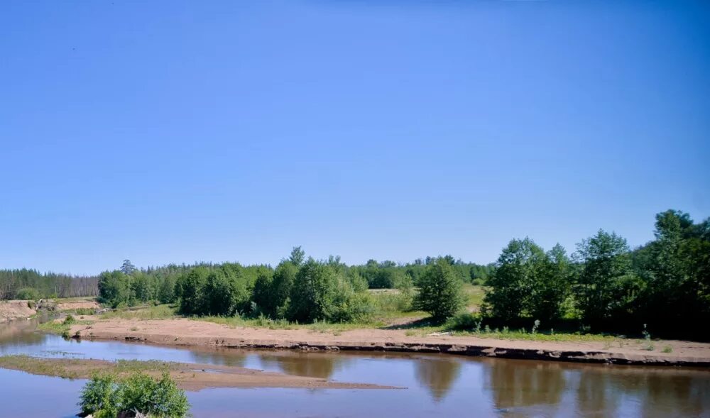 Оренбургский заповедник соль- илецк. Лужки оренбургская область. Лужки оренбургская область. Речка кумачка новоорск. Лужки орск.