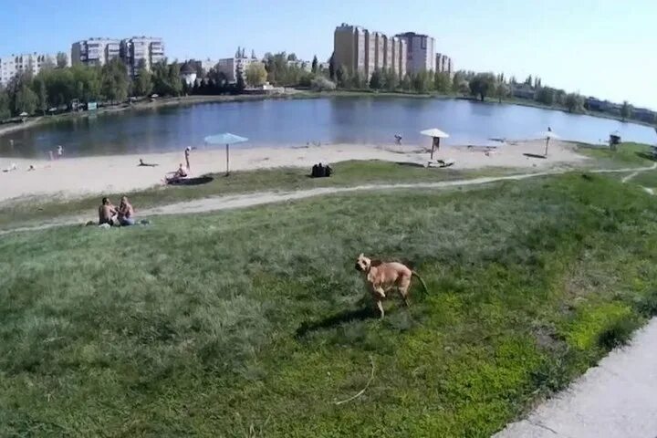 Ермошкино озеро курск. Котлован Курск Парковая. Пляж котлован Курск. Озеро на Черняховского Курск.