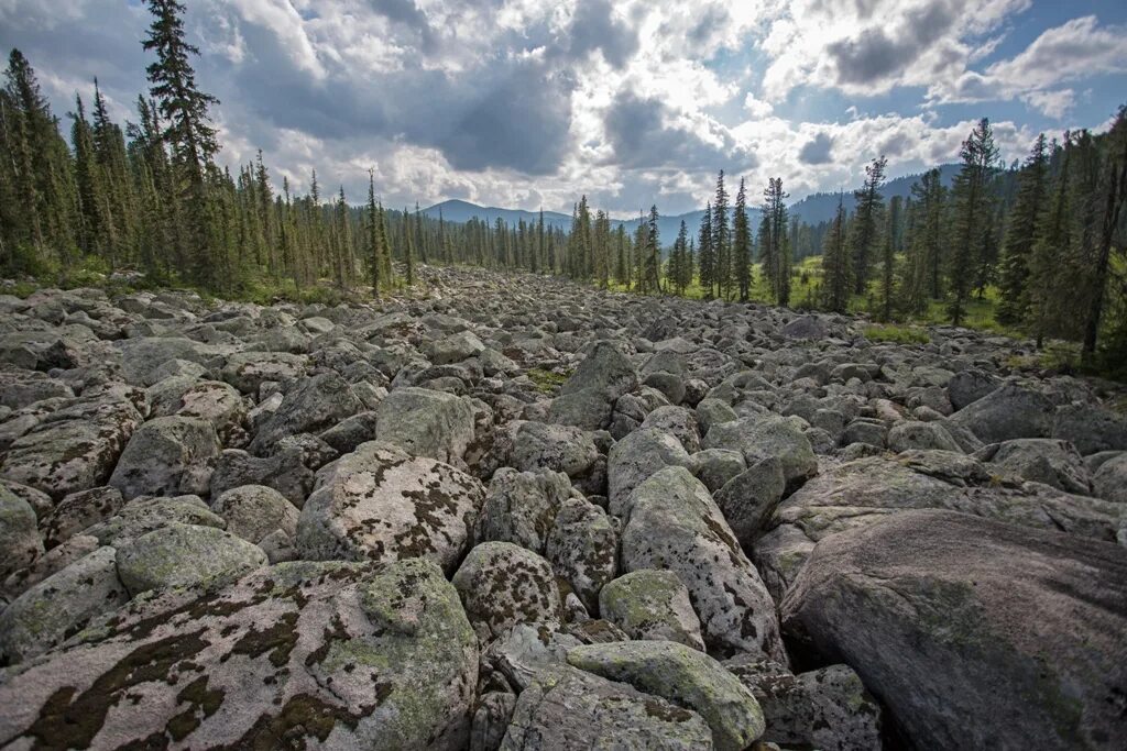 Курумы Урала каменные реки. Курумы Иремель. Курумник Кузнецкий Алатау. Уральские горы курумник.