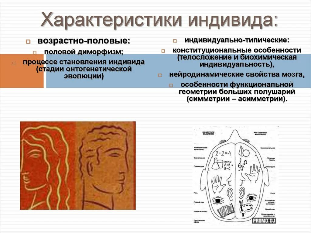 Характеристики индивида. Индивидуально-типические характеристики индивида это. Особенности человека как индивида. Особенности индивида и личности.