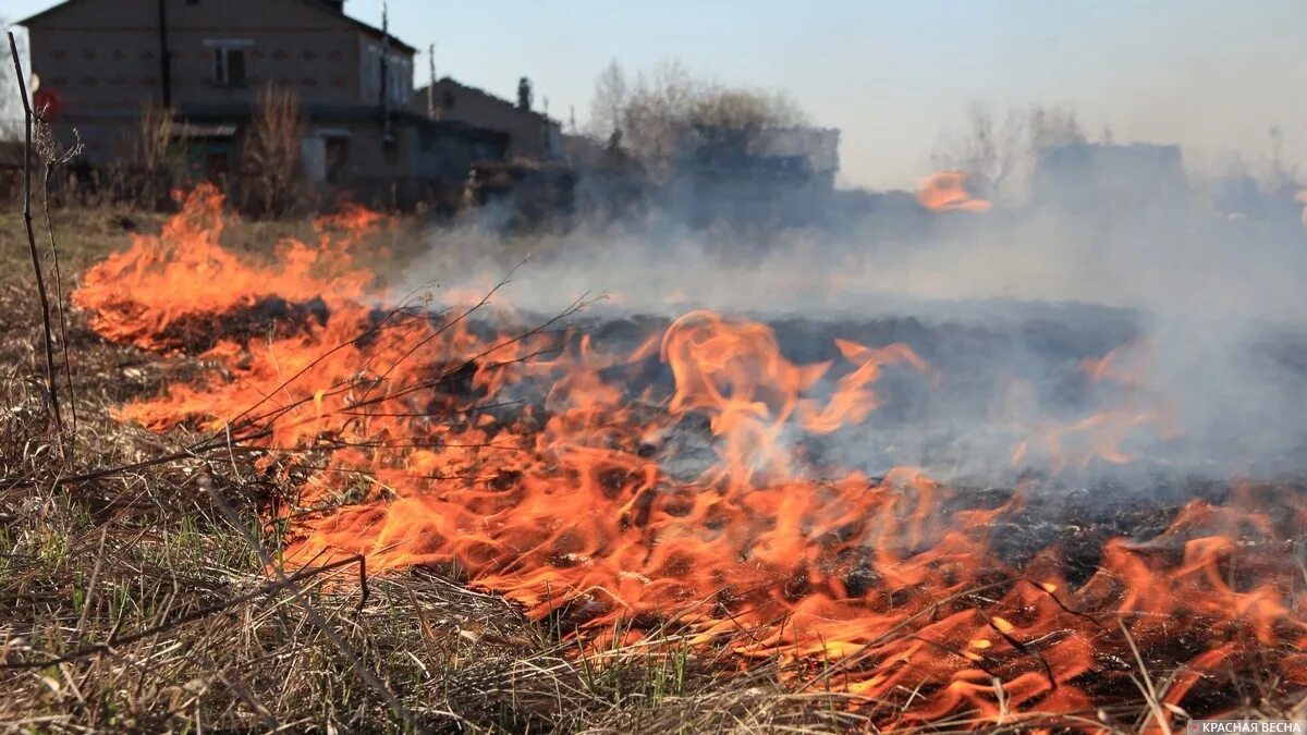 Горит пал. Возгорание сухой травы. Травяной пожар. Горение сухой растительности. Пожар весной.