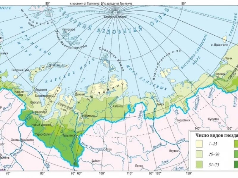 Атлас Российская Арктика. Российская Арктика карта. Восток Ойл карта проекта.