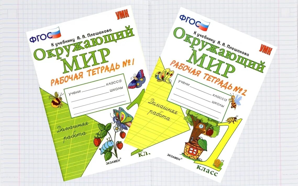 Печатная тетрадь. Окружающий мир 1 класс рабочая тетрадь 1 Соколова. Рабочая тетрадь по окружающему миру 1 класс школа России н. а Соколова. Рабочая тетрадь окр мир 1 класс школа России. Соколова рабочая тетрадь по окружающему миру 1 класс.