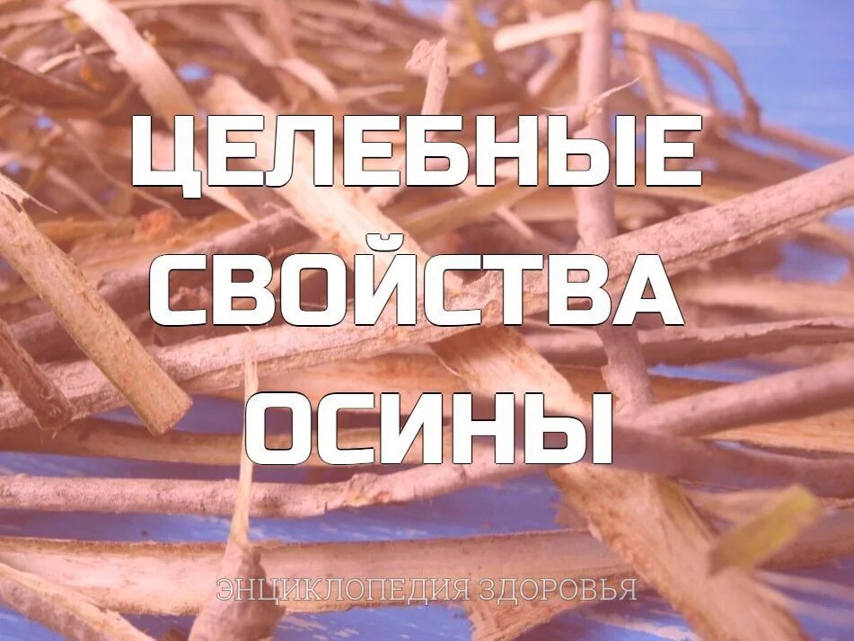 Целебные свойства осины. Осина лечебные свойства. Целебные свойства осины Плесовских. Осина очистка организма. Фитотерапевт плесовских осина