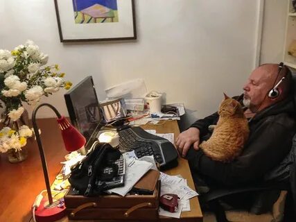 Дневник отчаянных пенсионеров на дзен публикации последние