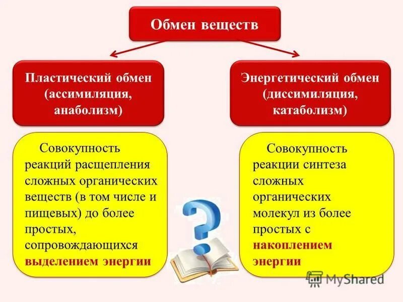 Понятие об ассимиляции и диссимиляции. Обмен веществ ассимиляция и диссимиляция. Процессы ассимиляции и диссимиляции веществ.. Диссимиляция и ассимиляция пластический и энергетический обмен. Совокупность реакций пластического обмена