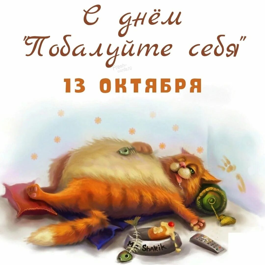 Цитаты про выходные. Смешные цитаты про выходные. афоризмы про выходные. цитата дня смешная.