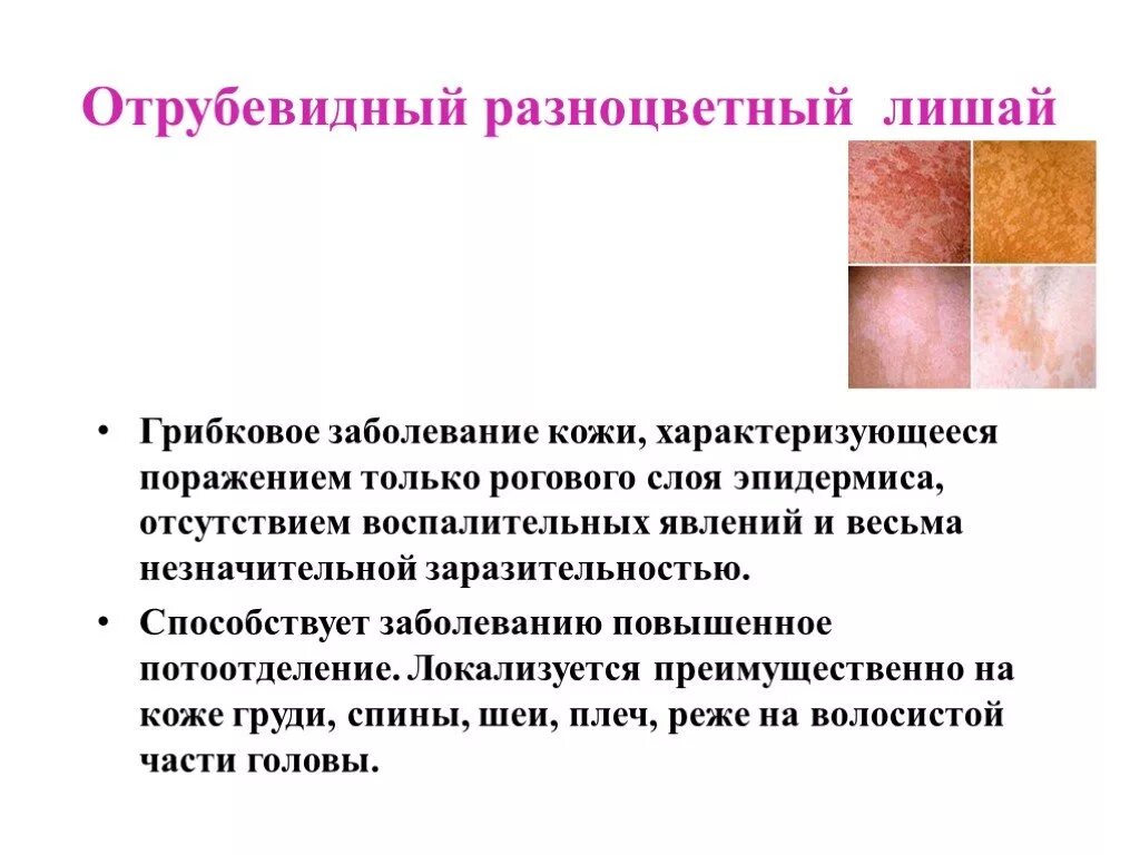 Соберите информацию о грибковых заболеваниях. Отрубевидный лишай локализуется. Розовый отрубевидный и разноцветный лишай. Поражение кожи розовый лишай. Отрубевидный лишай и Солнечный лишай.