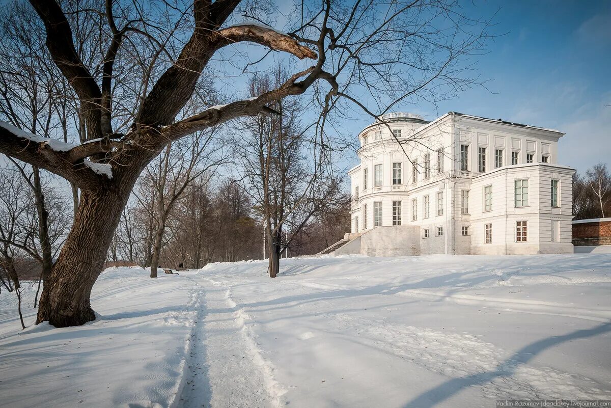 Богородицкий дворец музей. Дворец Бобринских в Богородицке. Богородицкий дворец-музей, Богородицк. Дворец графа Бобринского в Богородицке. Богородицк дворец усадьба Бобринских зима.